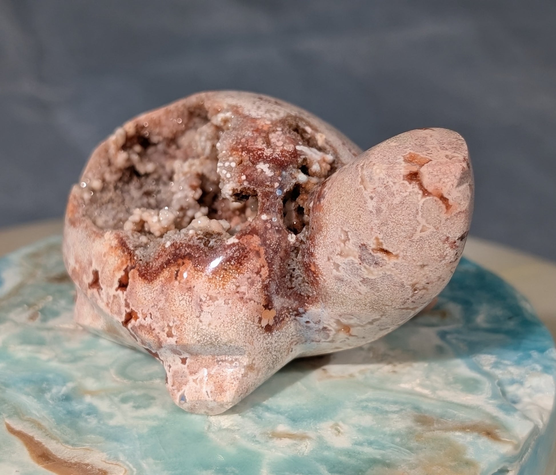 Druzy Pink Crazy Lace Agate Turtle Figurine