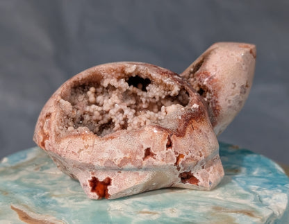 Druzy Pink Crazy Lace Agate Turtle Figurine