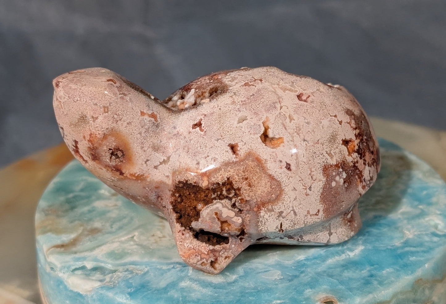 Druzy Pink Crazy Lace Agate Turtle Figurine