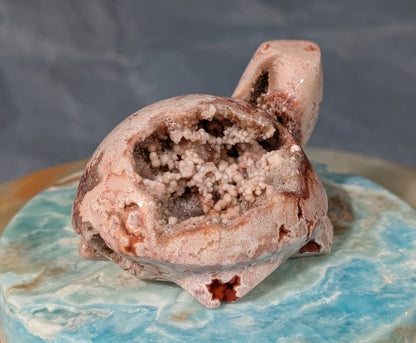 Druzy Pink Crazy Lace Agate Turtle Figurine
