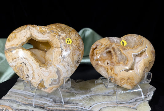 Druzy Yellow Crazy Lace Agate Hearts