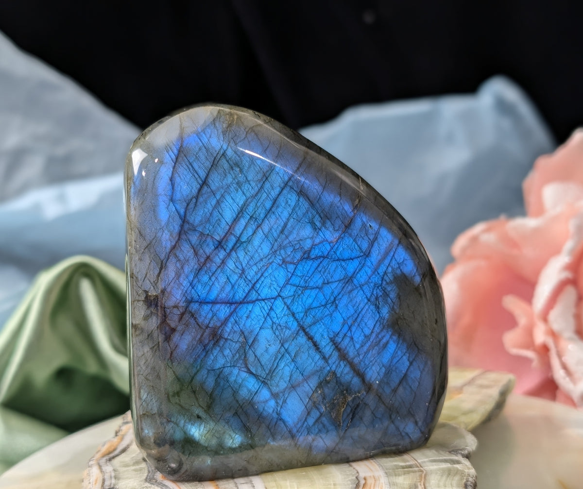 Flashy Blue Labradorite Freeform