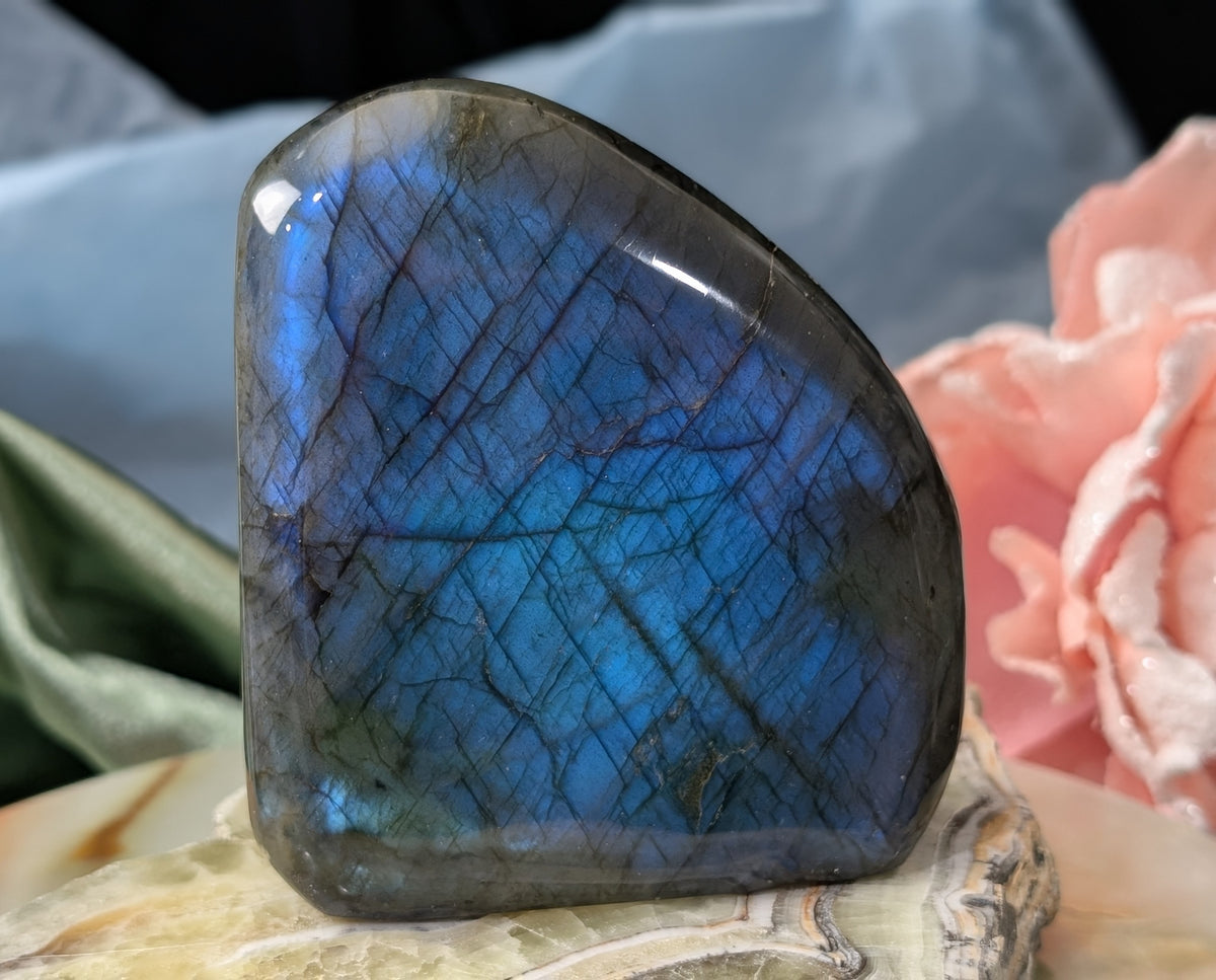Flashy Blue Labradorite Freeform