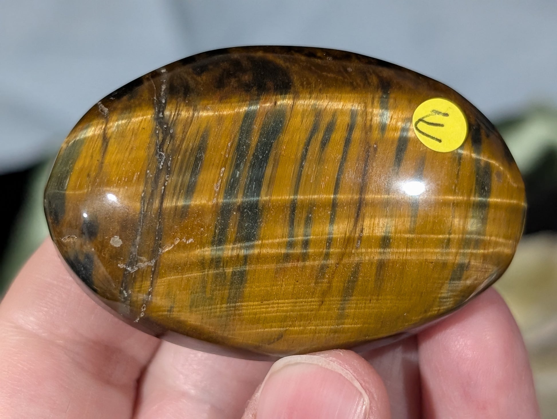Flashy Tiger Eye Palm Stone