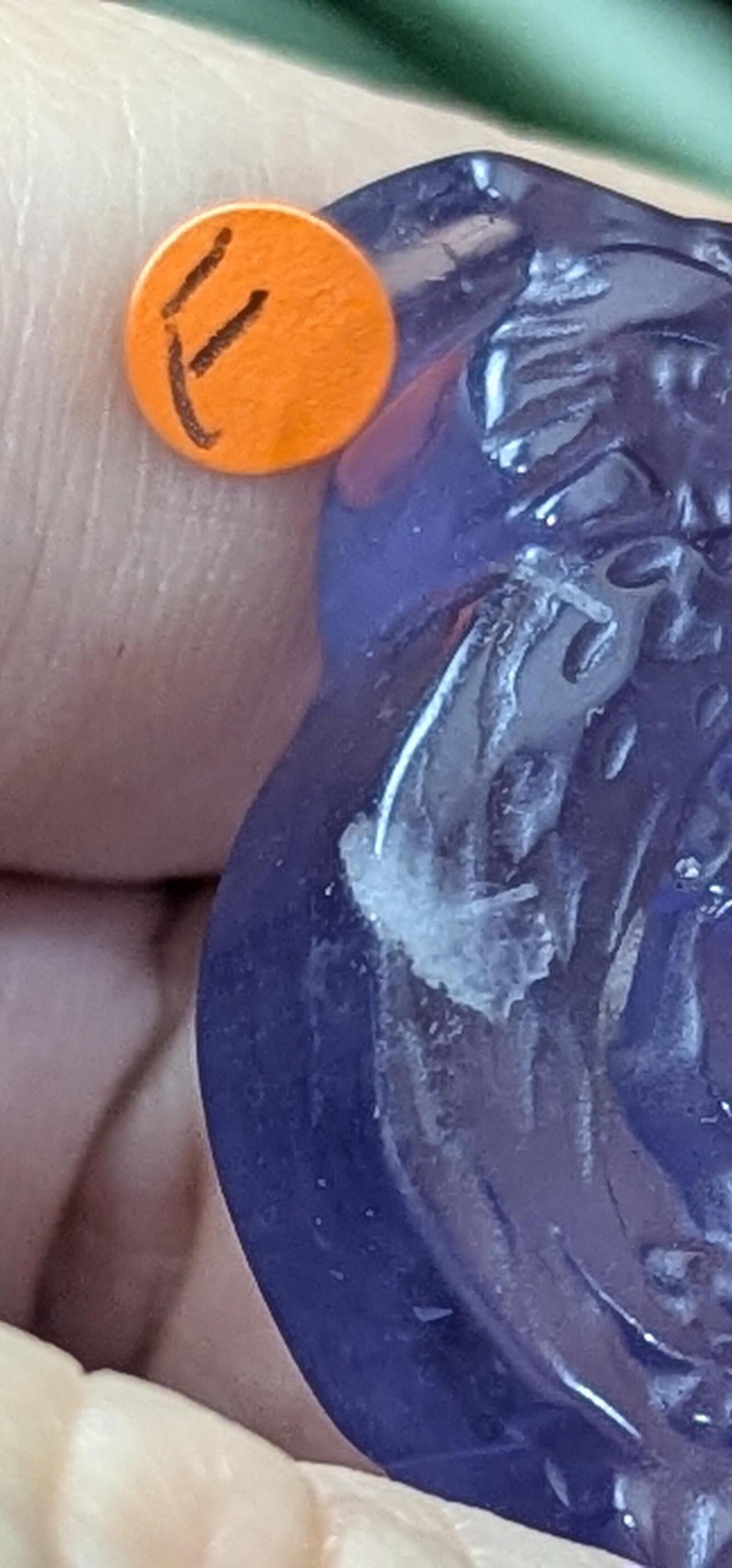 Fluorite Owl Holding Skull Carving