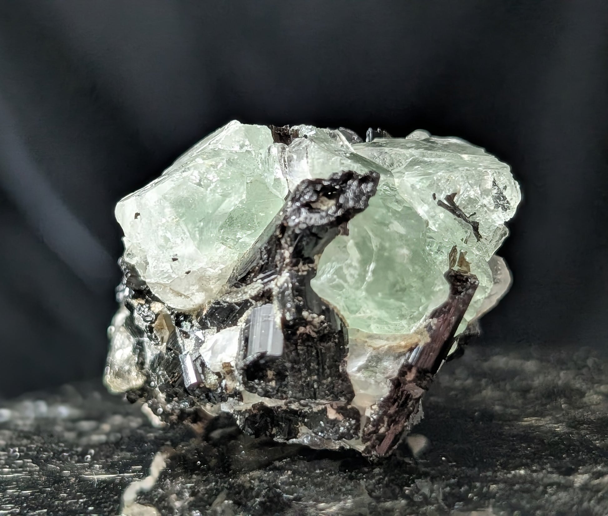 Fluorite with Black Tourmaline Specimen