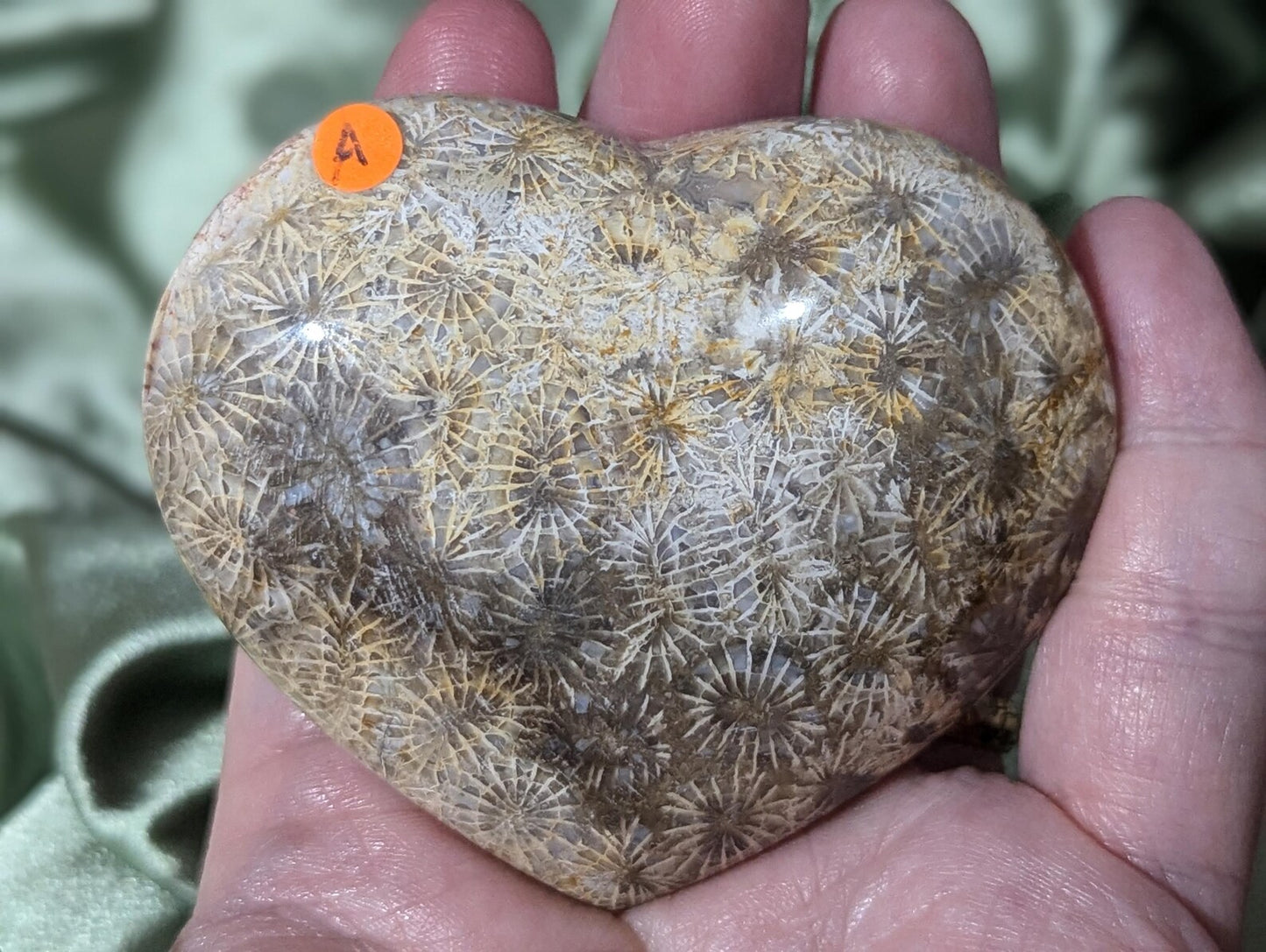 Fossil Coral Jasper Heart 1A