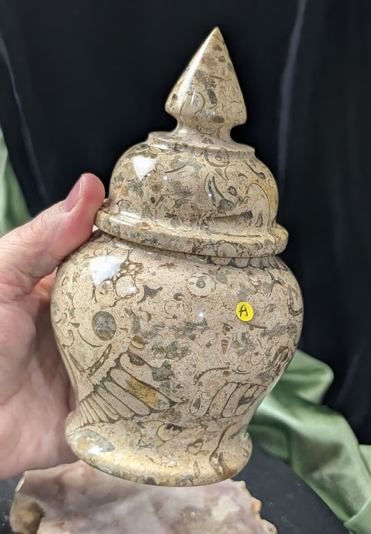 Fossil Coral Jasper Jar