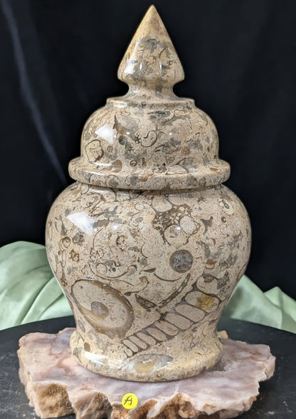Fossil Coral Jasper Jar