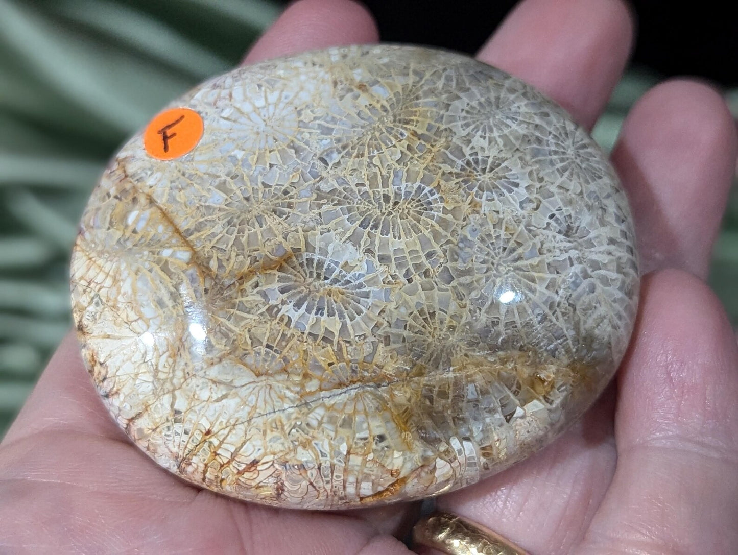 Hand Carved Fossil Coral Jasper Palm Stone 1F1