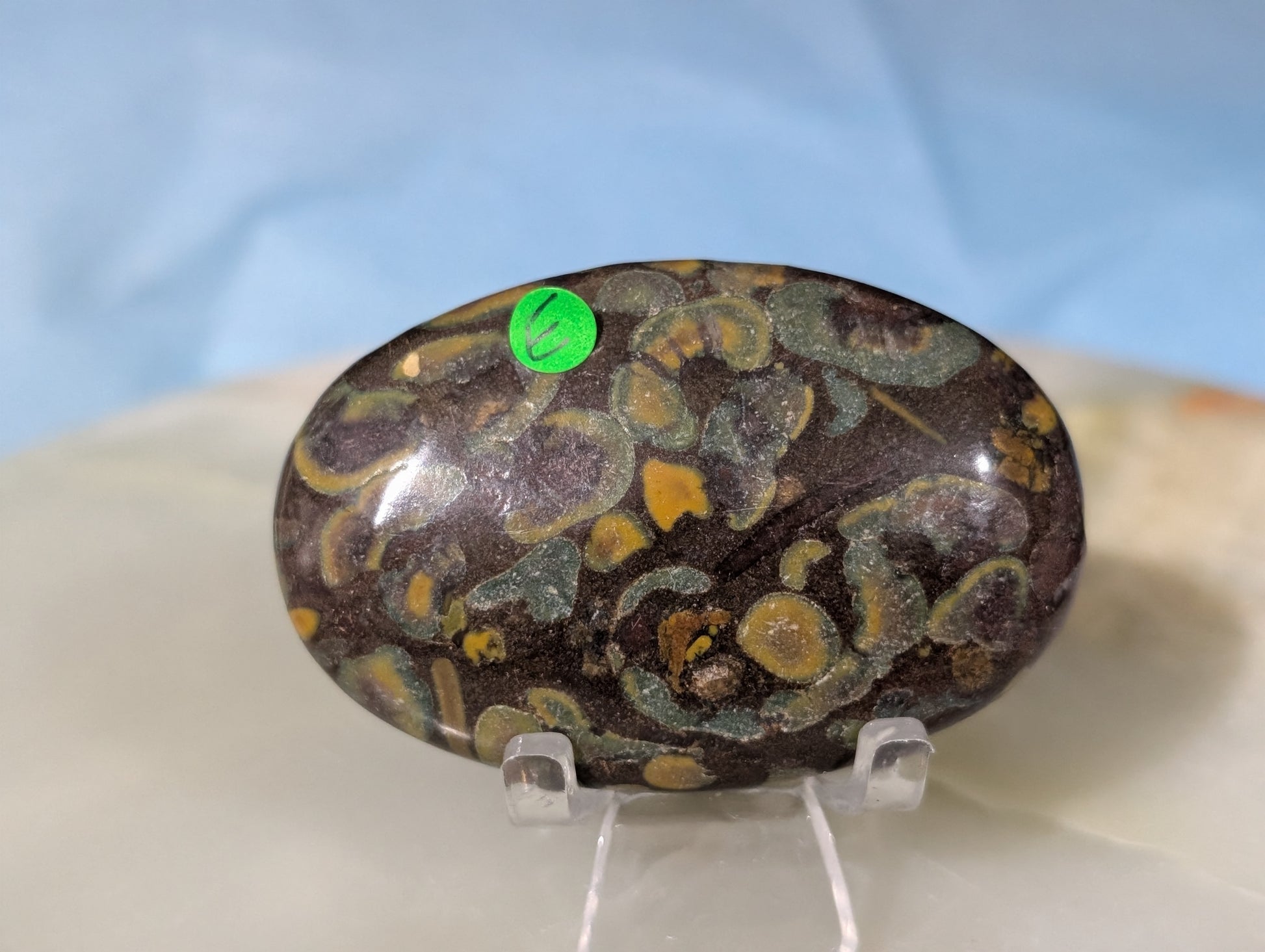Fruit Jasper Palm Stone