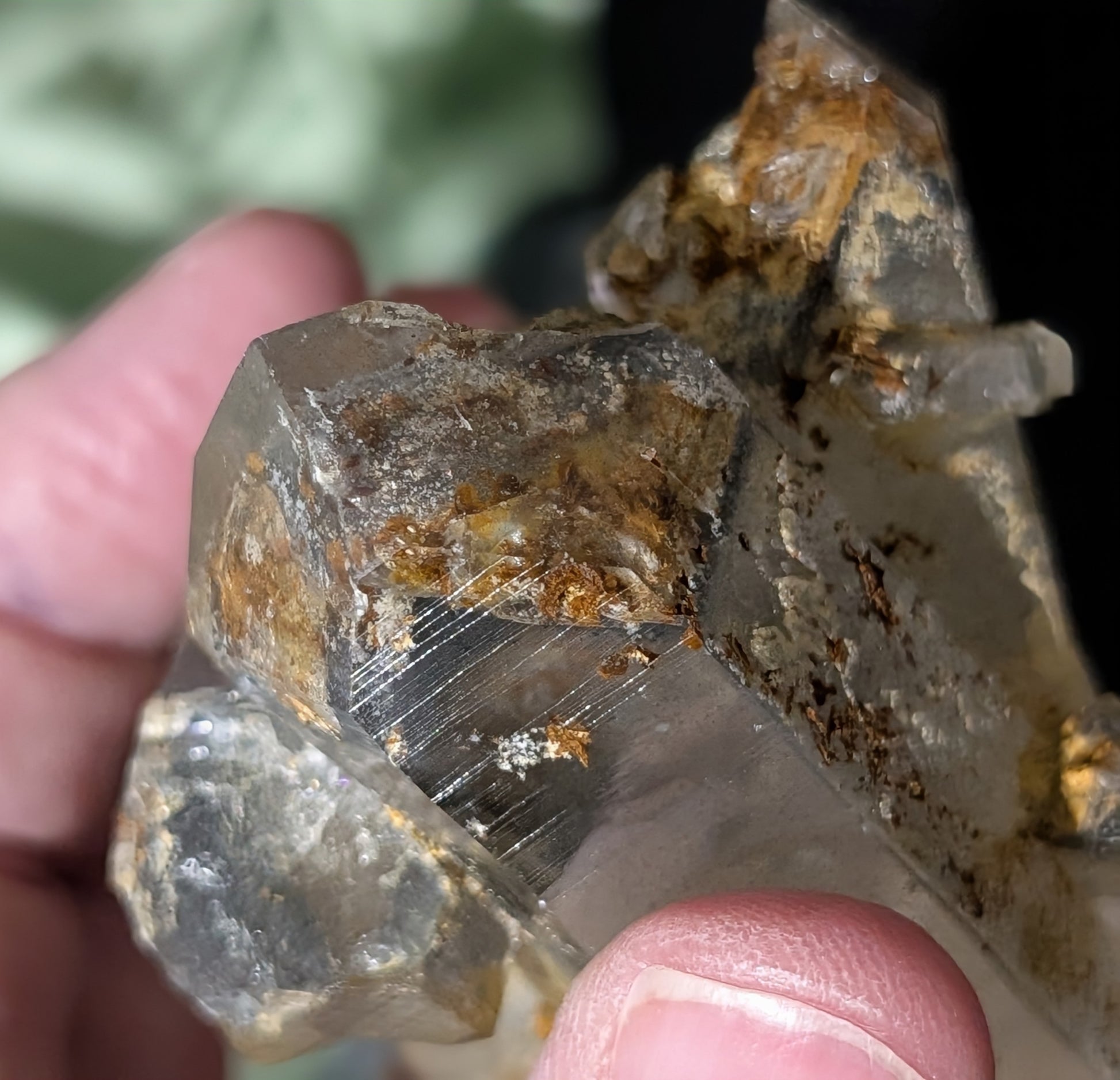 Garden Quartz with Golden Healer Specimen