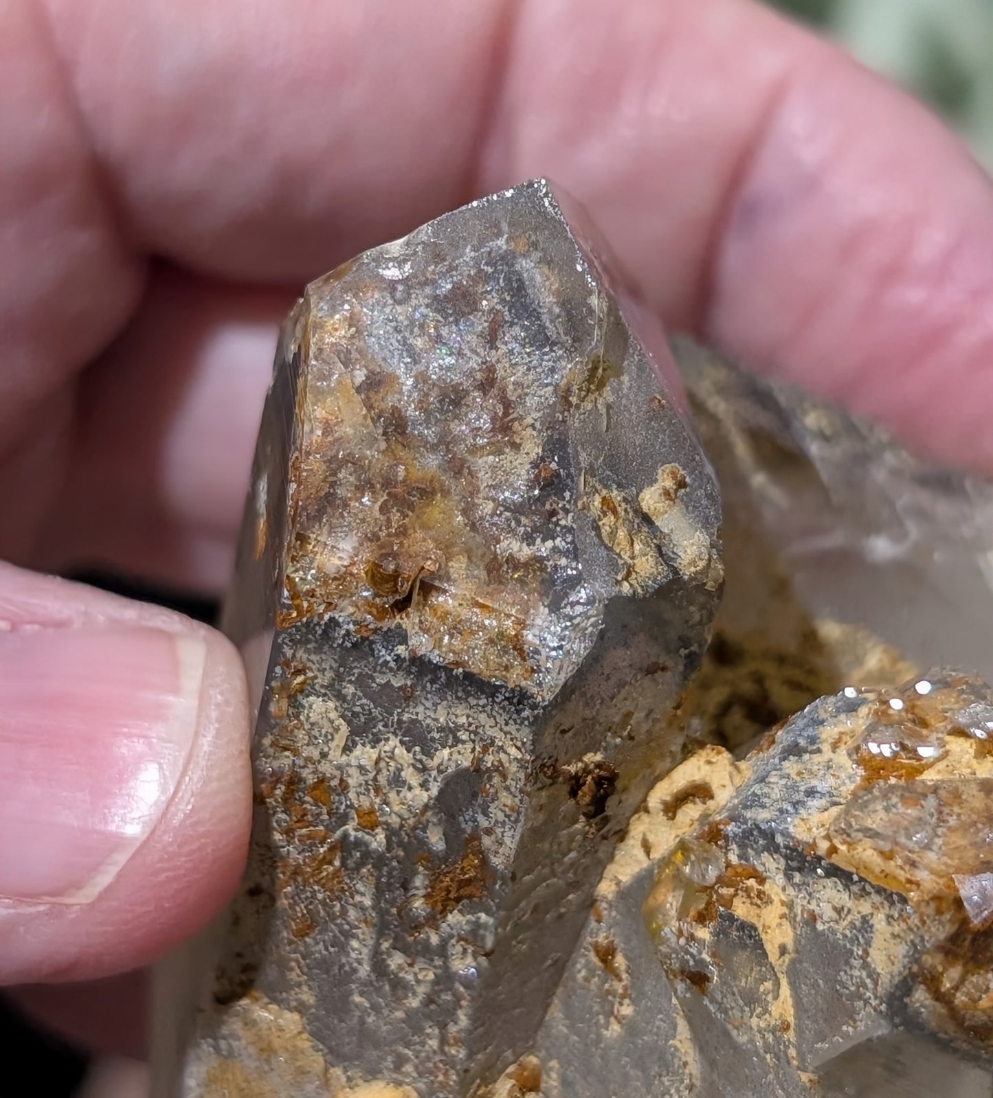 Garden Quartz with Golden Healer Specimen