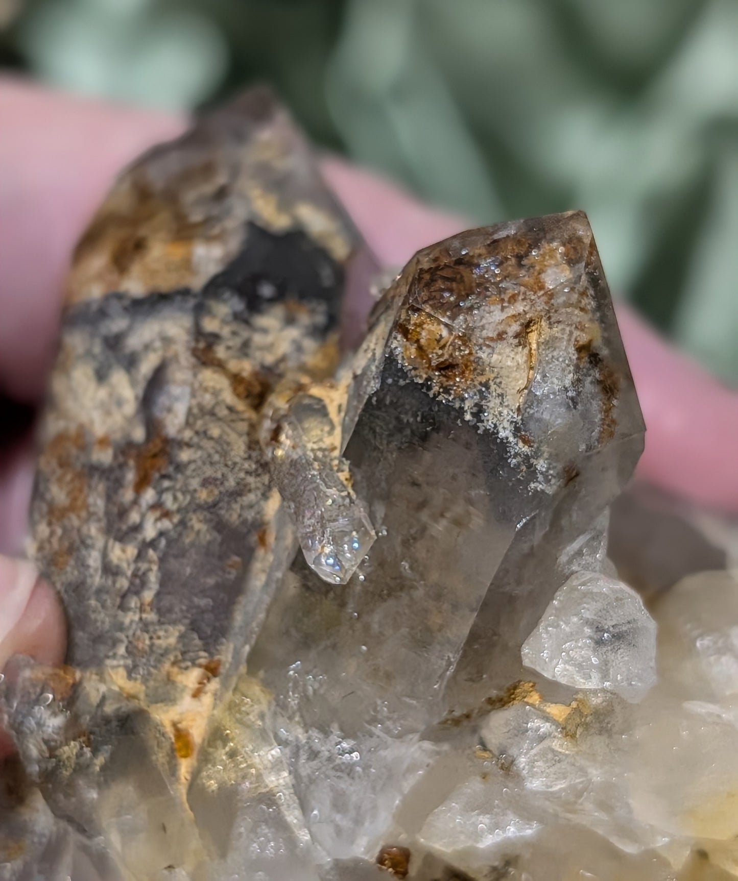 Garden Quartz with Golden Healer Specimen