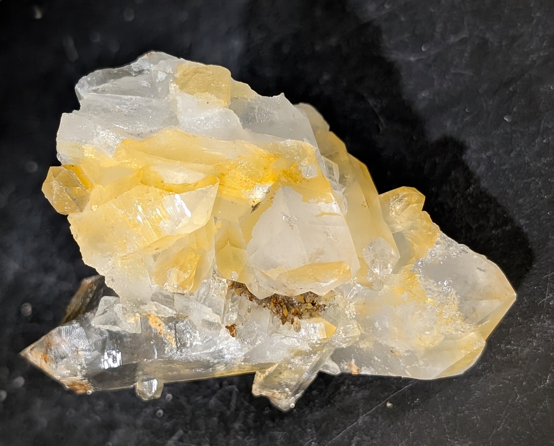 Garden Quartz with Golden Healer Specimen