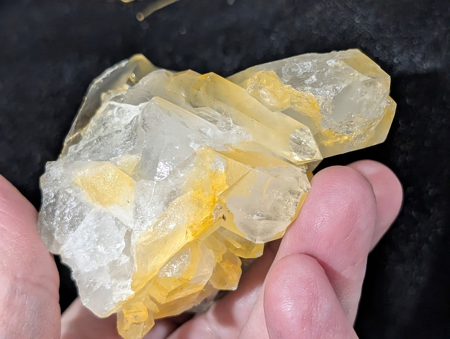 Garden Quartz with Golden Healer Specimen