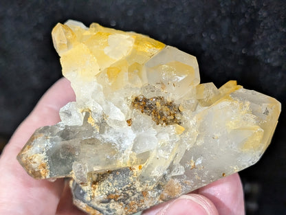 Dual Terminated Garden Quartz with Golden Healer Specimen