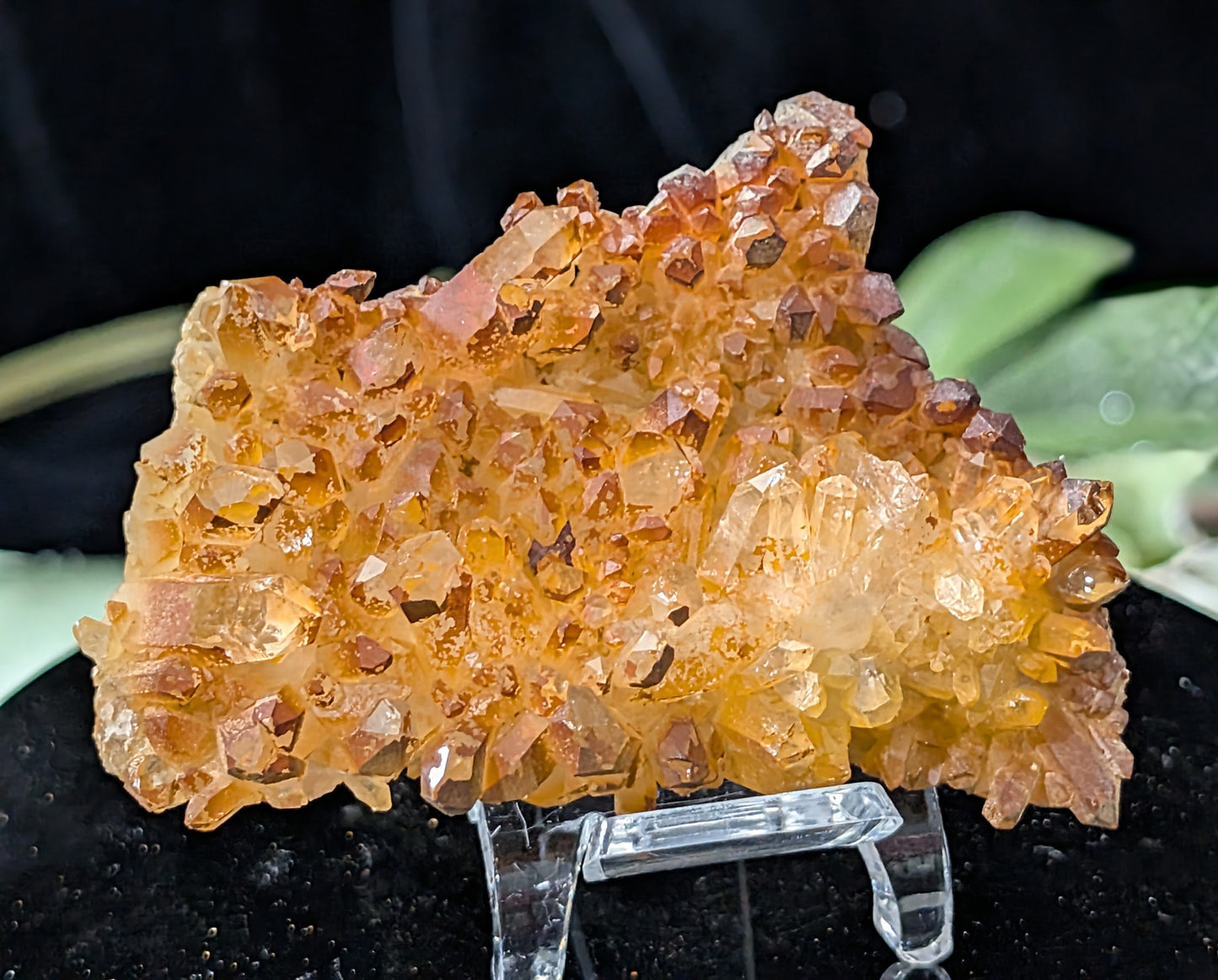 Golden Healer Quartz Specimen