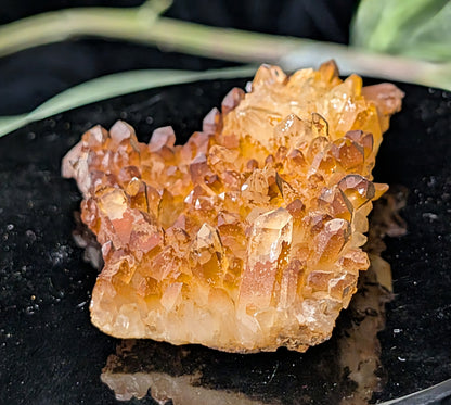 Golden Healer Quartz Specimen