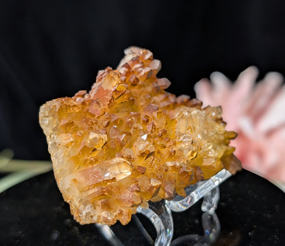 Golden Healer Quartz Specimen