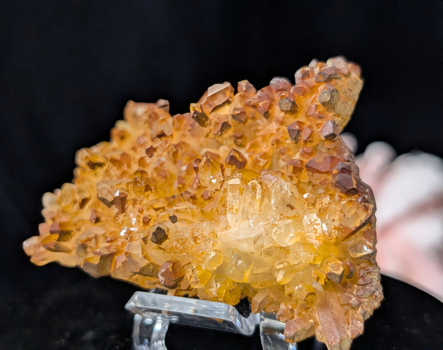 Golden Healer Quartz Specimen