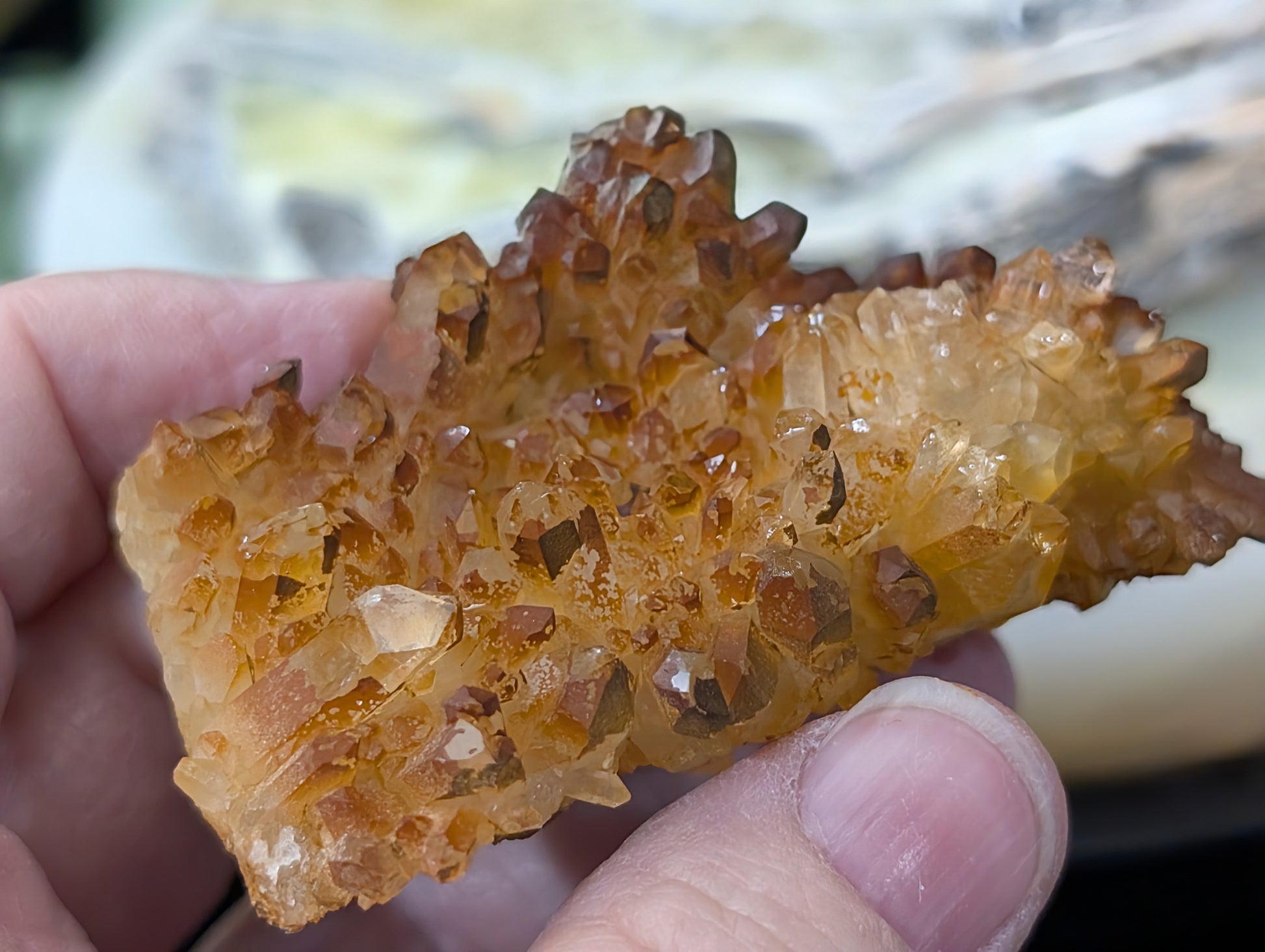 Golden Healer Quartz Specimen