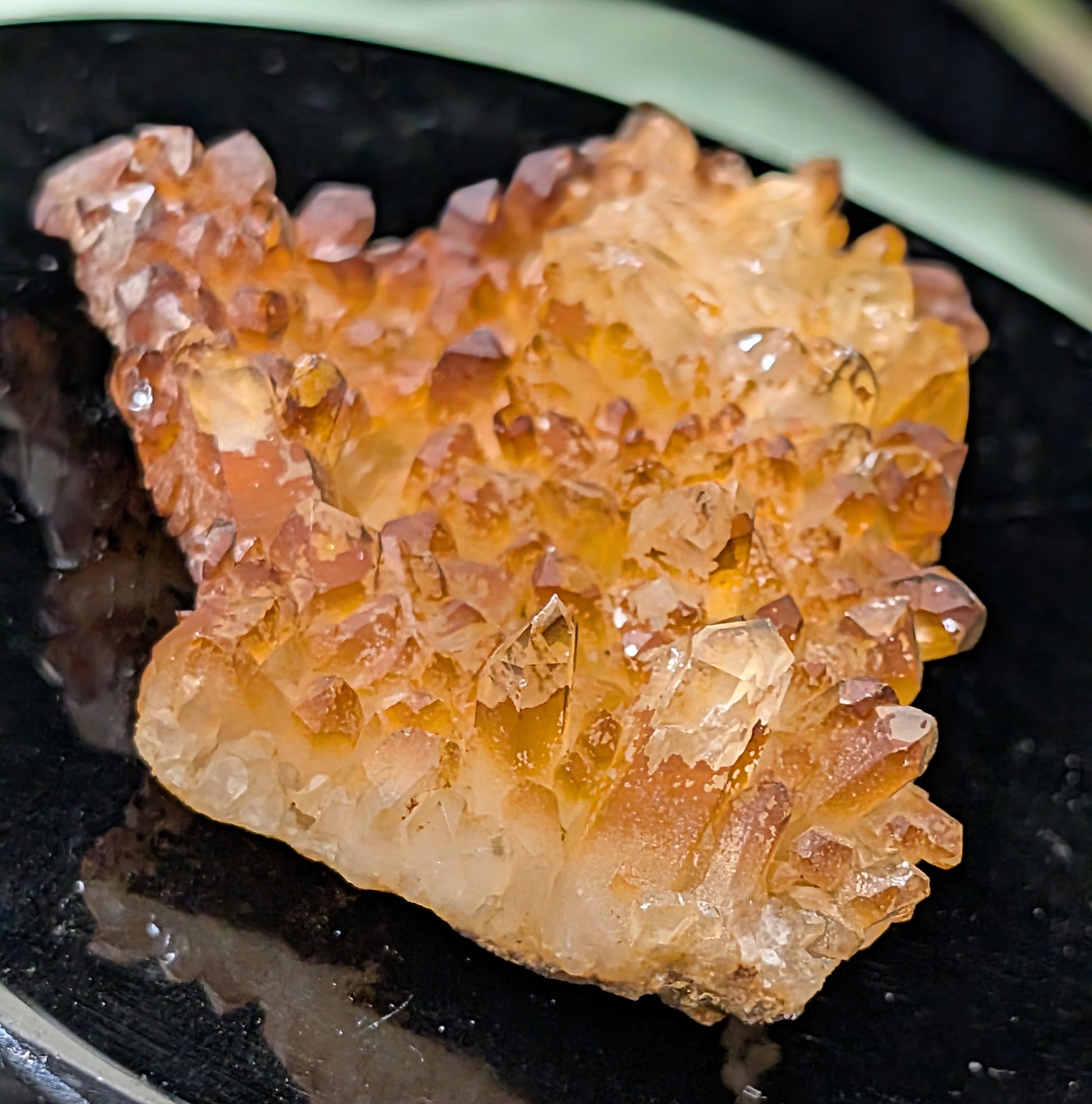 Golden Healer Quartz Specimen