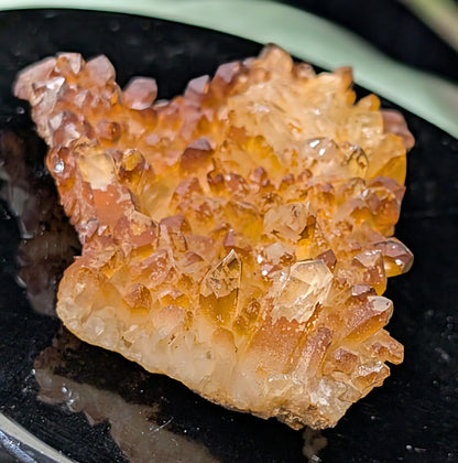 Golden Healer Quartz Specimen