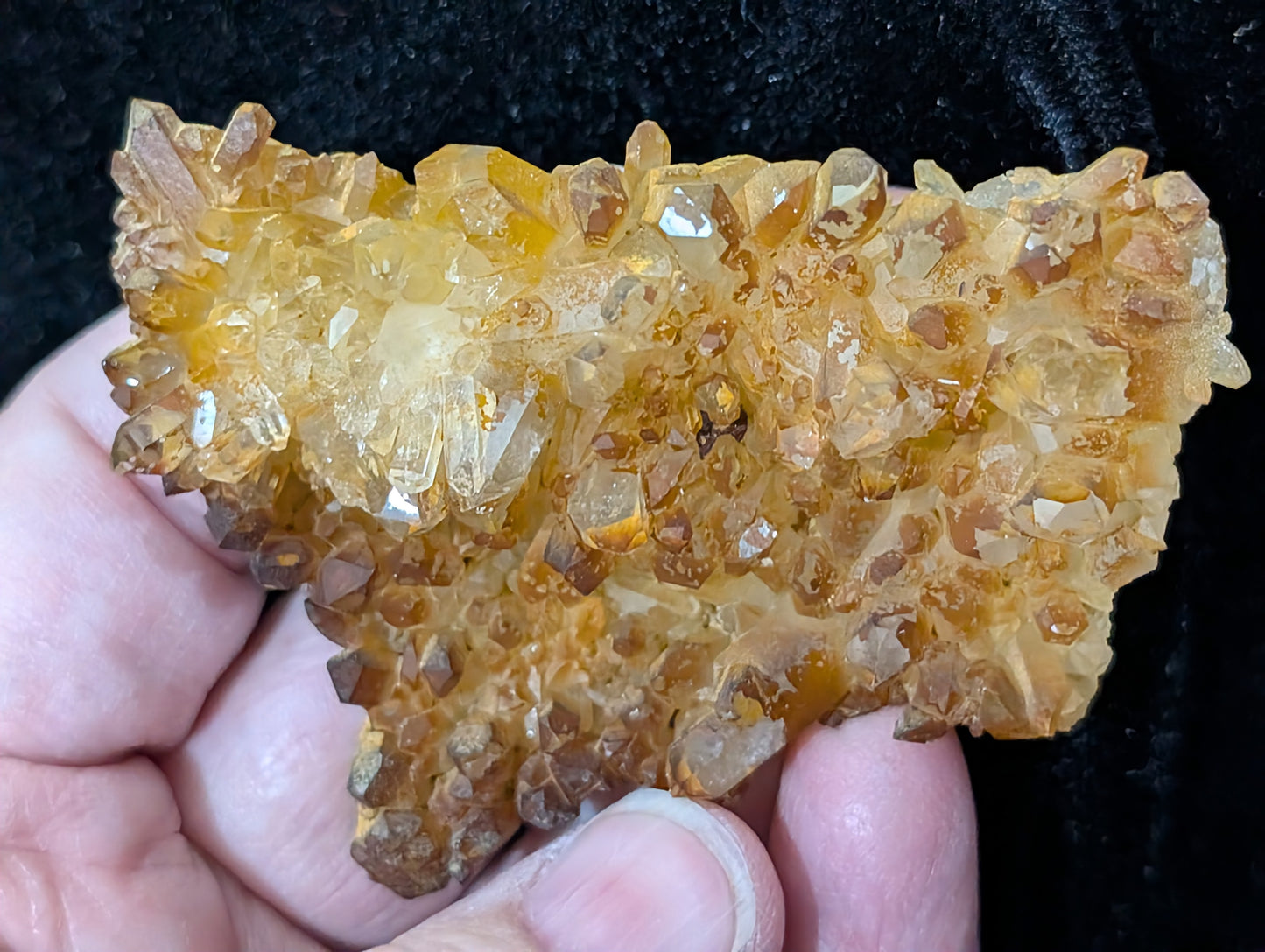 Golden Healer Quartz Specimen