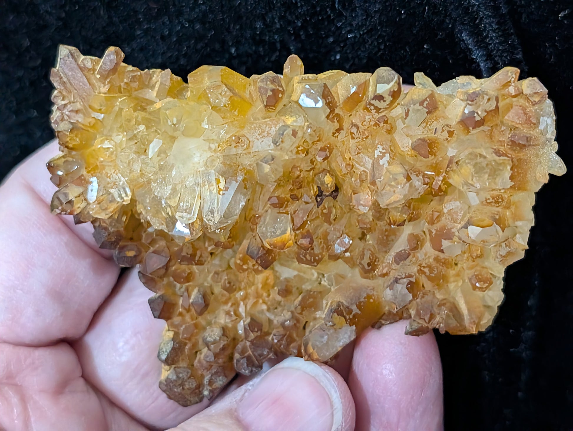 Golden Healer Quartz Specimen