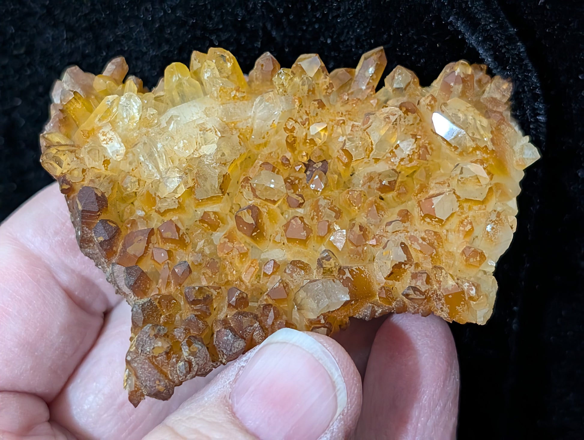 Golden Healer Quartz Specimen