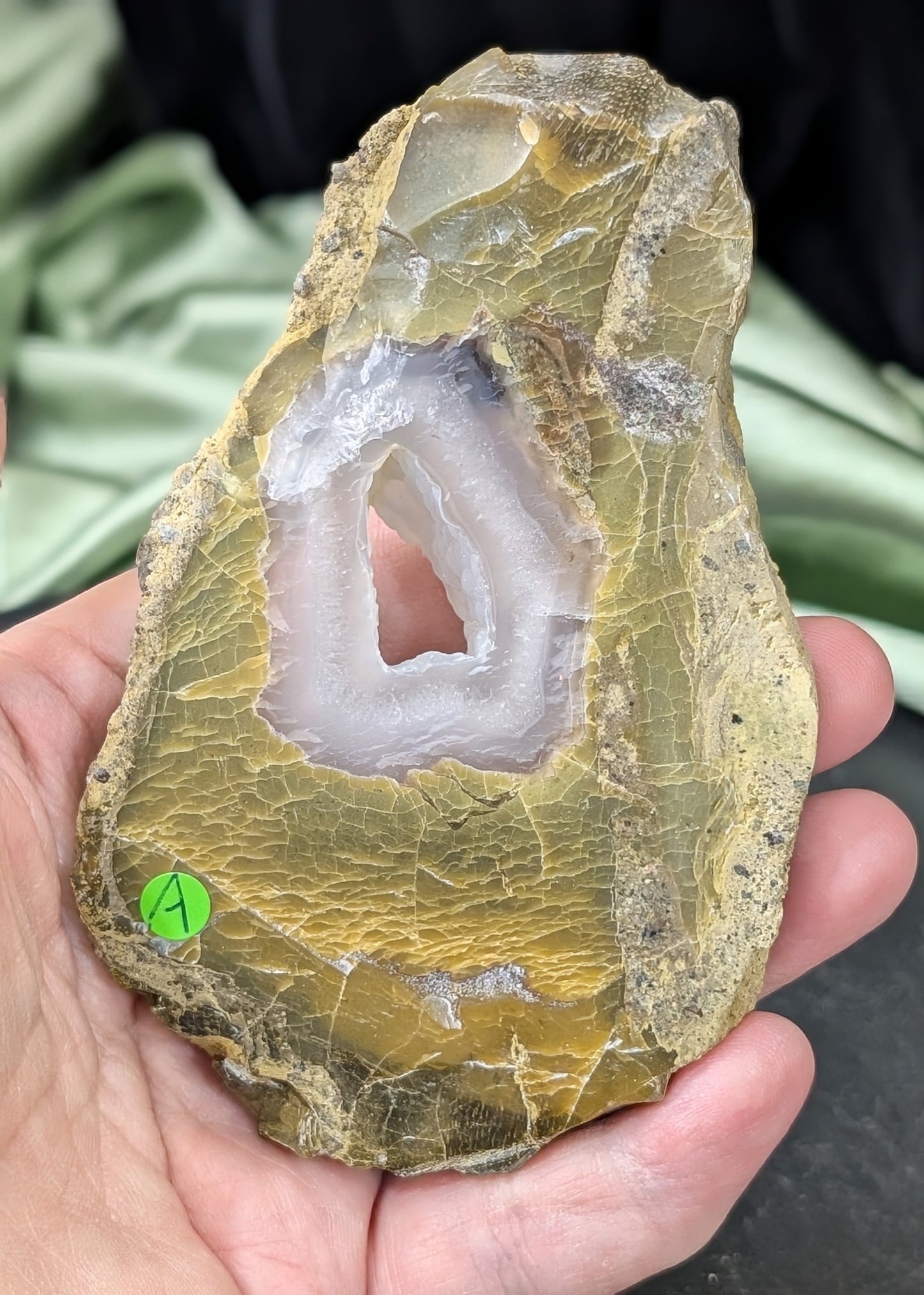 Green Petrified Wood Slab 1A2