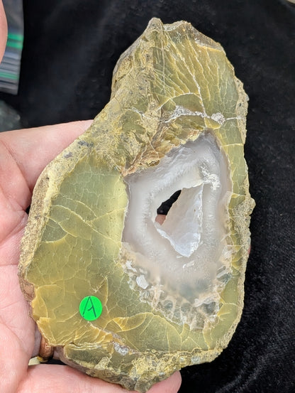 Green Petrified Wood Slab 1A5