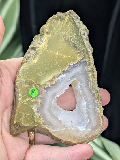 Green Petrified Wood Slab 1B1