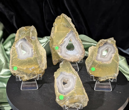 Green Petrified Wood Slabs with Bubble Calcite Caves