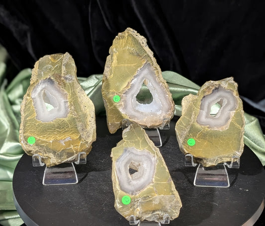 Green Petrified Wood Slabs with Bubble Calcite Caves