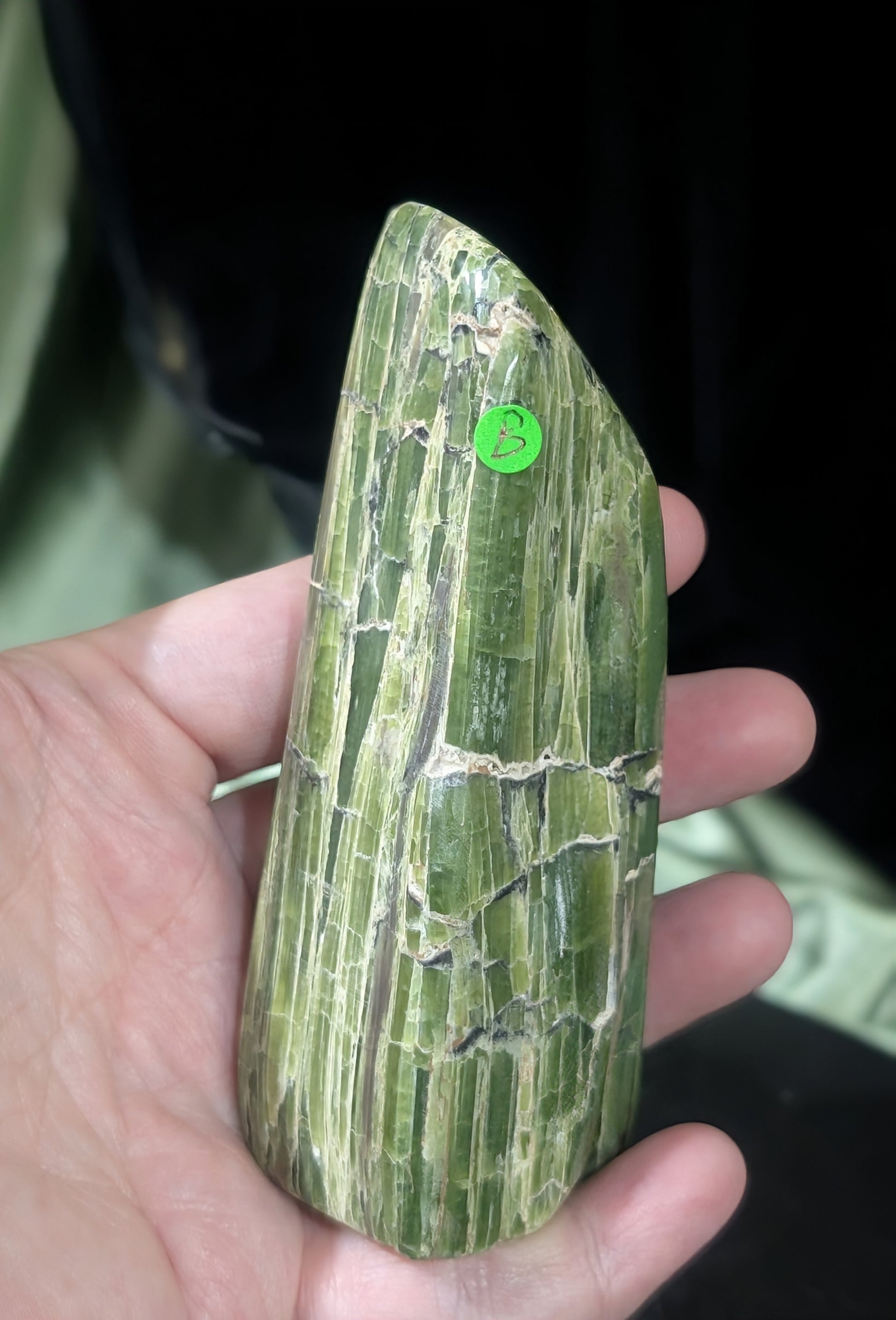 Green Tremolite Freeform