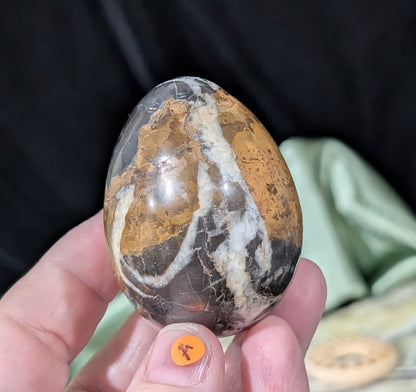 Hunter Jasper Egg