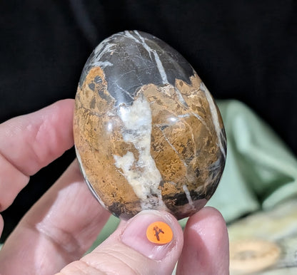 Hunter Jasper Egg
