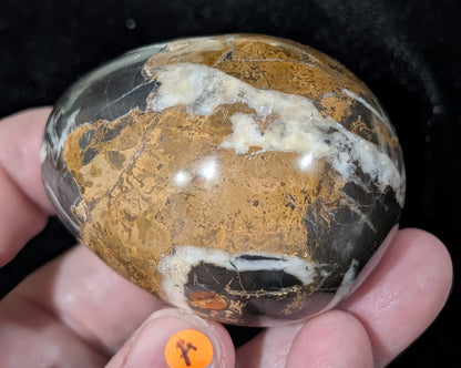 Hunter Jasper Egg