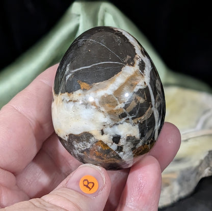Hunter Jasper Egg