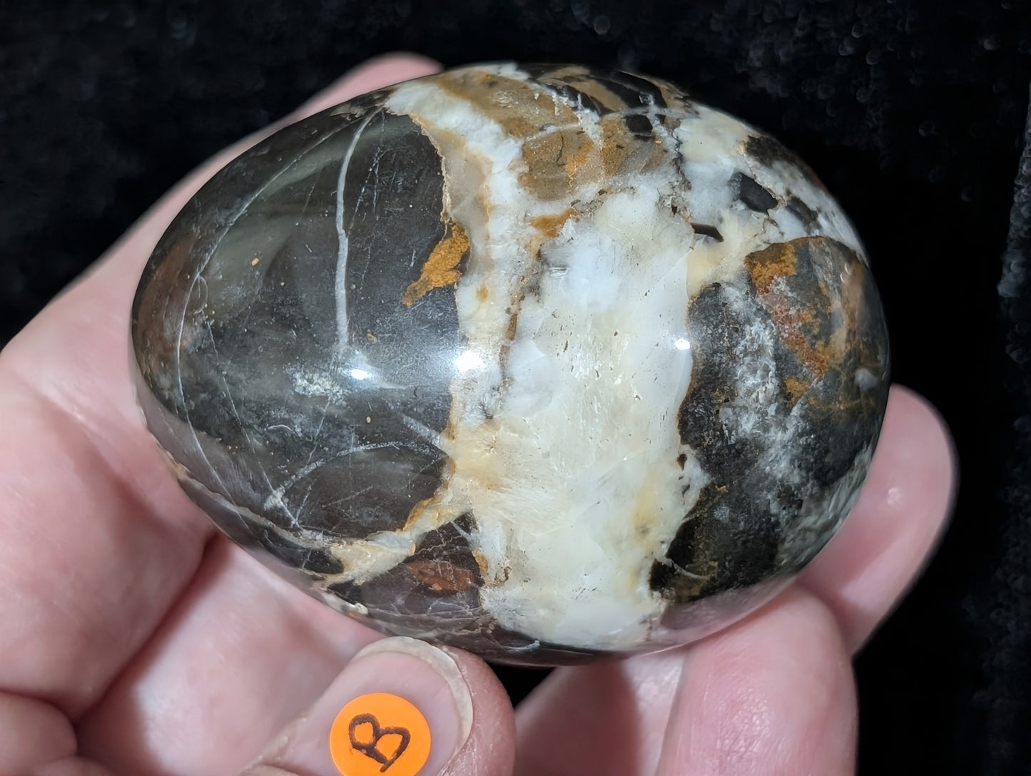 Hunter Jasper Egg