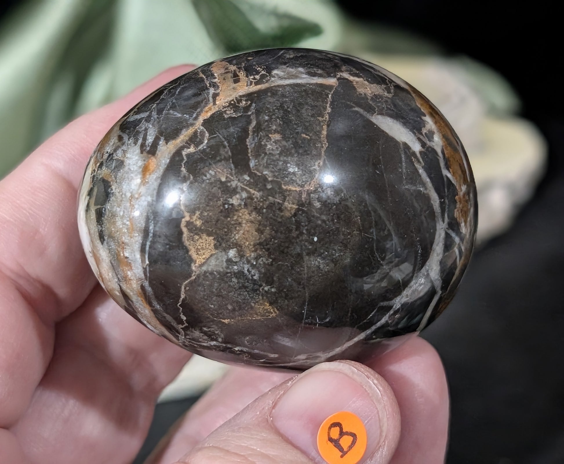 Hunter Jasper Egg