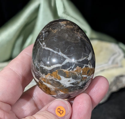 Hunter Jasper Egg