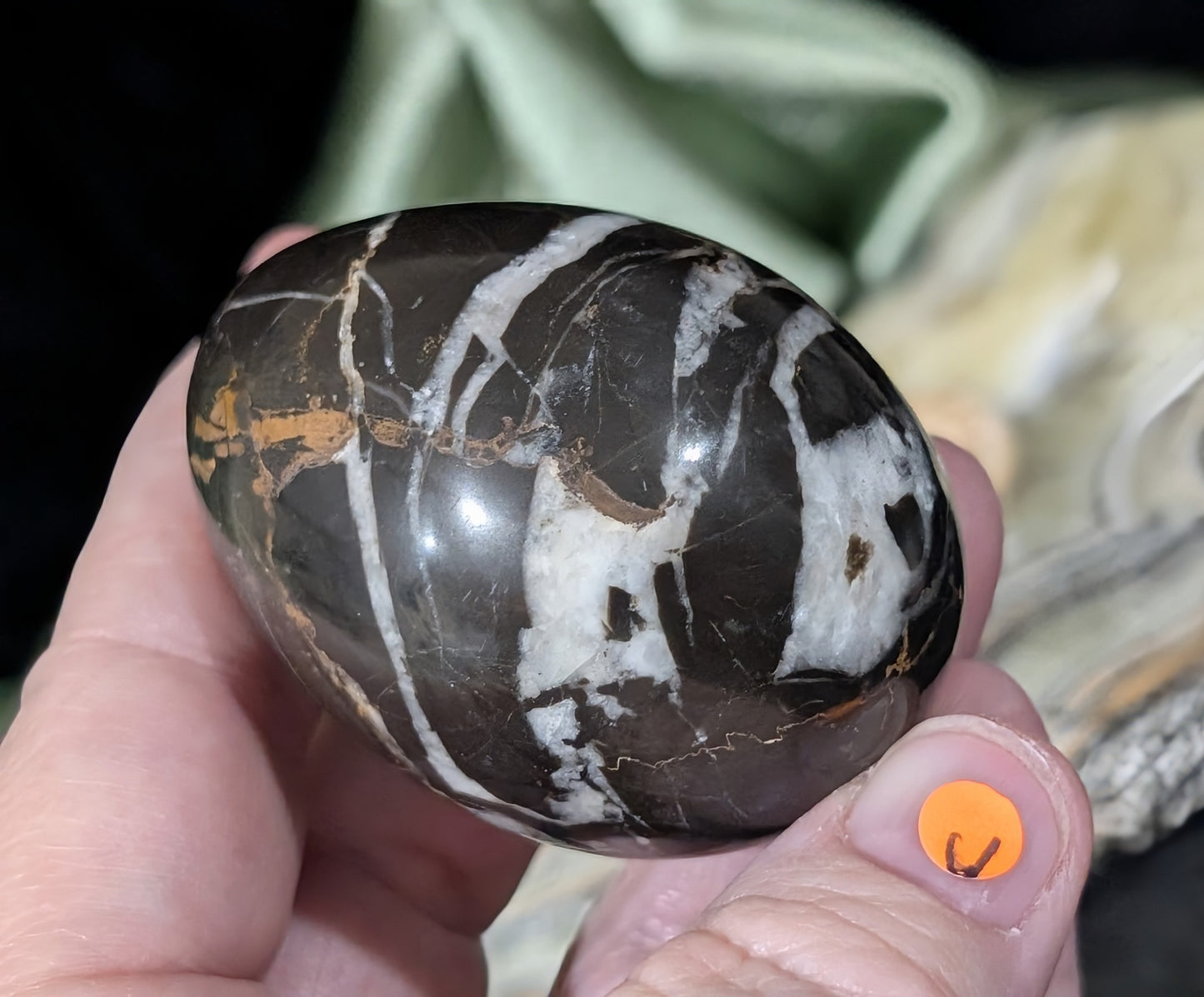 Hunter Jasper Egg