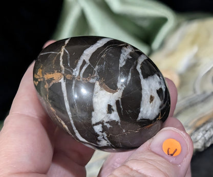 Hunter Jasper Egg
