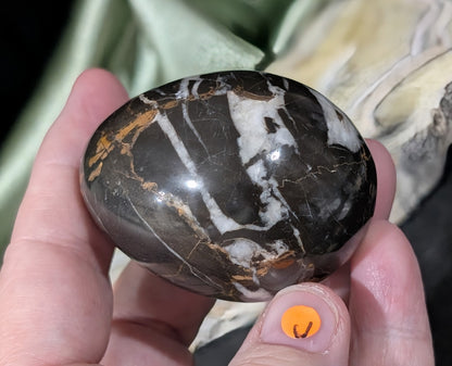 Hunter Jasper Egg