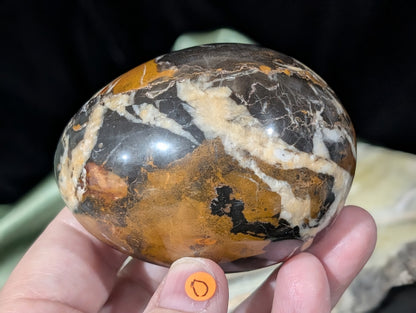 Hunter Jasper Egg