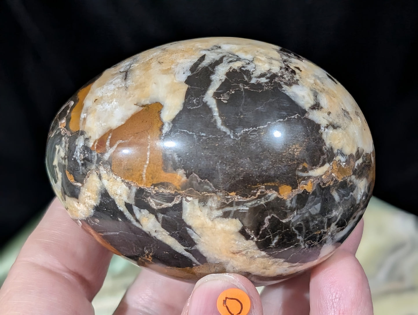 Hunter Jasper Egg