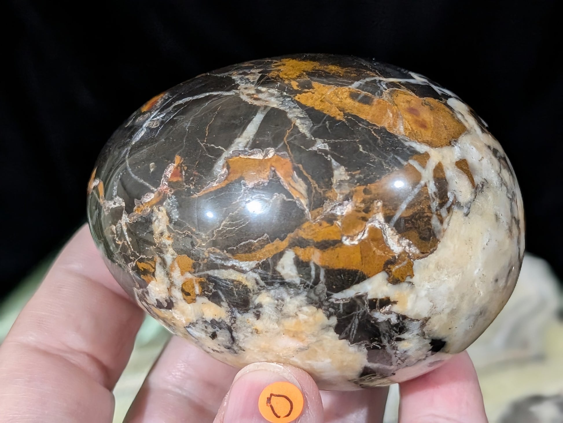 Hunter Jasper Egg